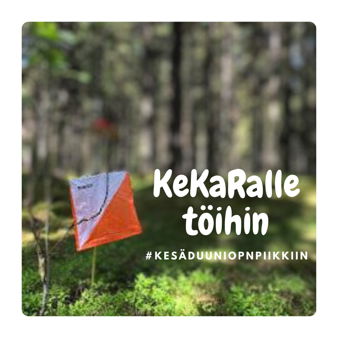 Hae Kesätöihin OP:n Piikkiin - Keski-Karjalan Rasti